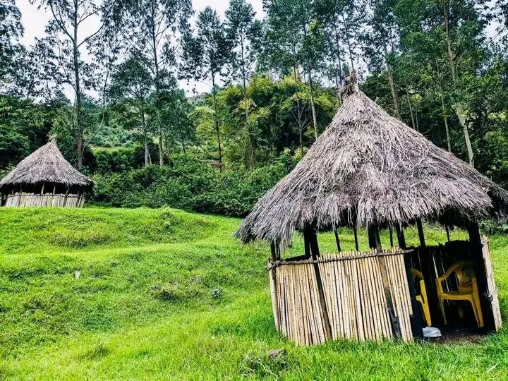 Huttes traditionnelles bashi (nyumba za nyasi)
