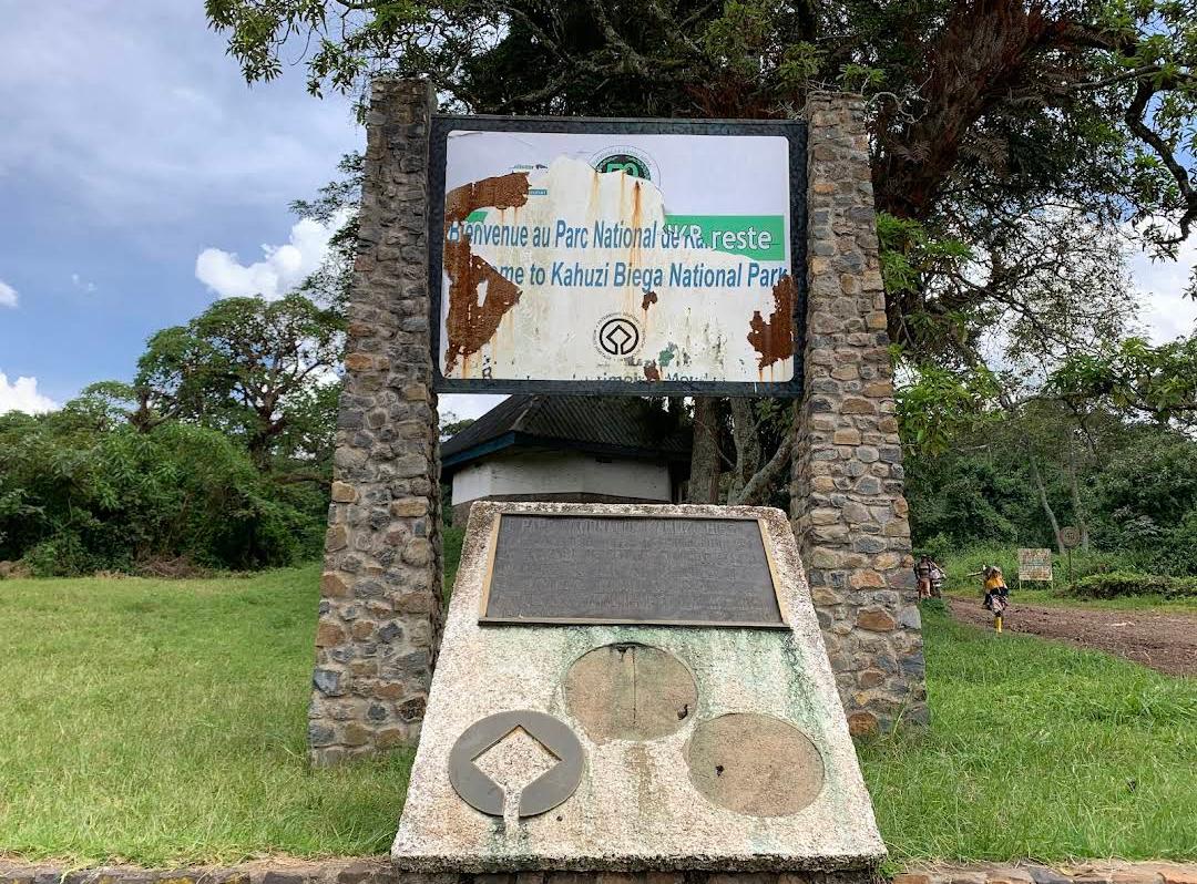Bienvenue au Parc National de Kahuzi-Biega