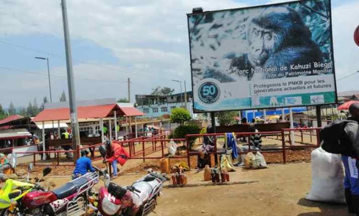 50 ans de protection du Kahuzi-Biega